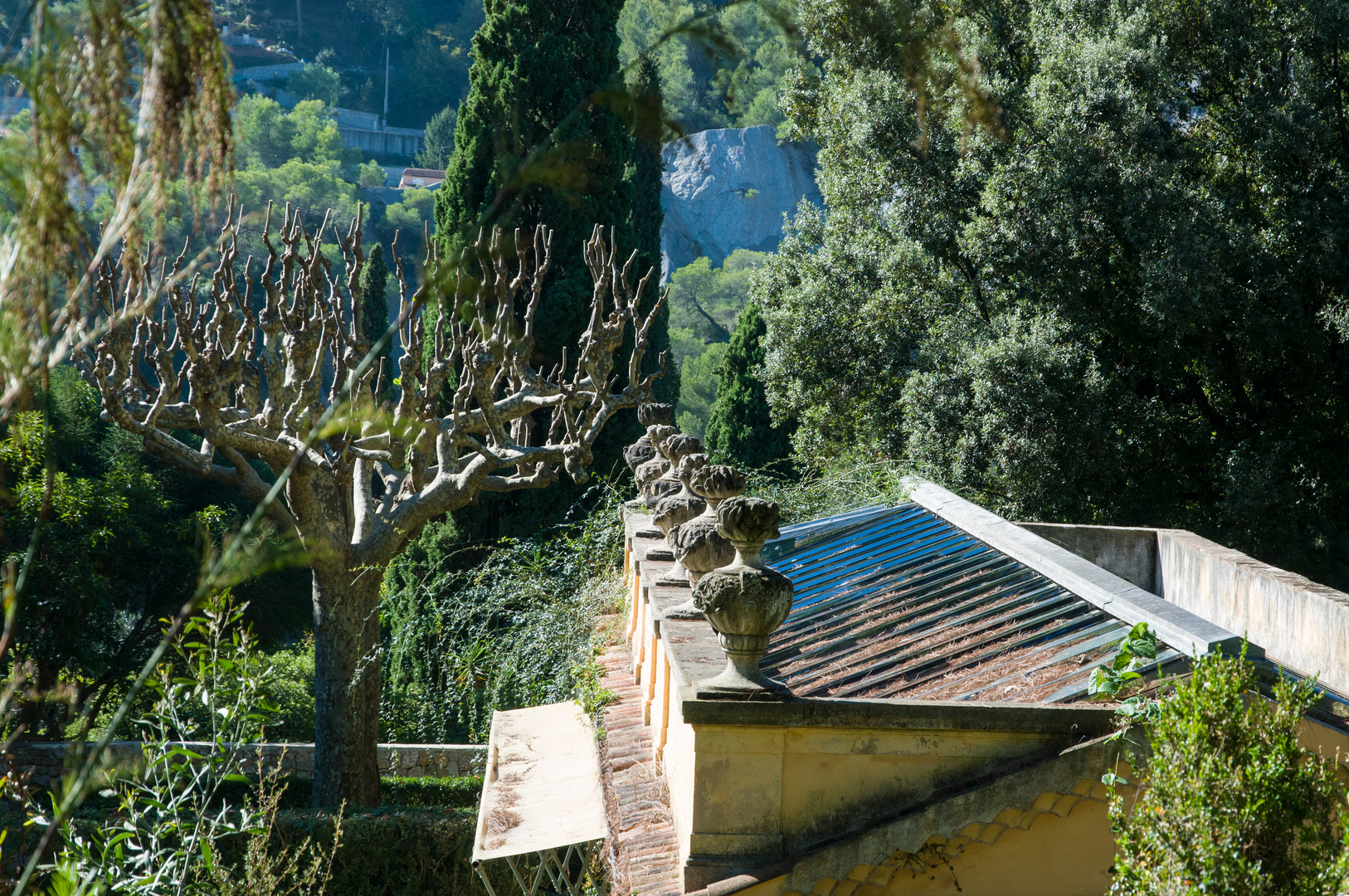 Menton, Serre de la Madone DSC_7800