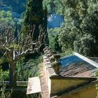 Menton, Serre de la Madone DSC_7800