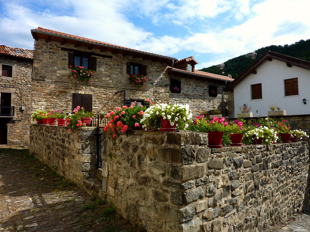 Menudo jardín