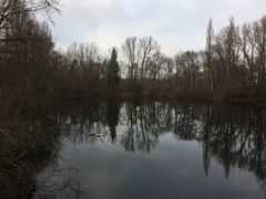 Menzelsee Düsseldorf