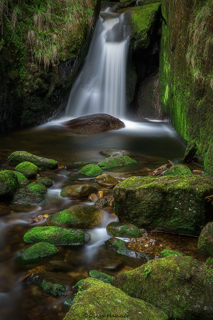 Menzenschwand Wasserfall 