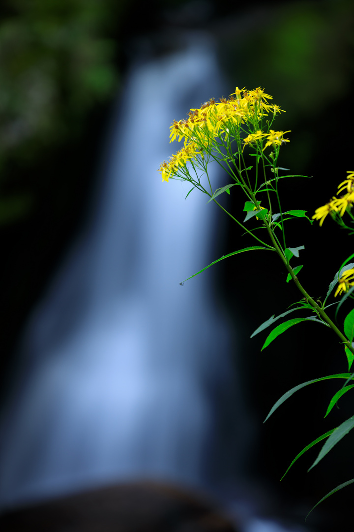 Menzenschwander Wasserfall