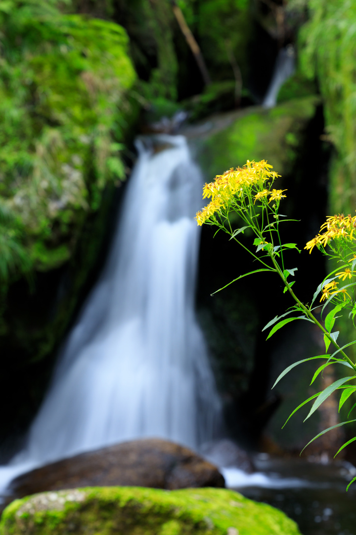 Menzenschwander Wasserfall