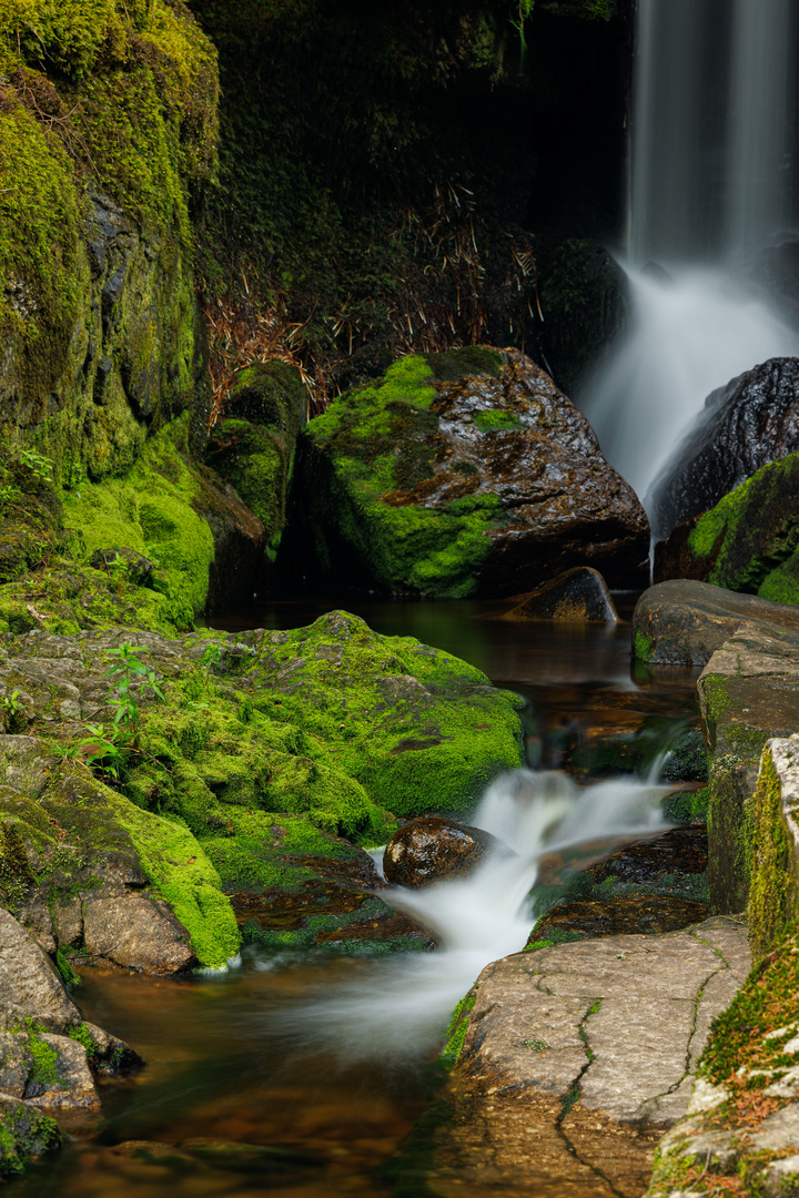 Menzenschwander Wasserfall/Schwarzwald