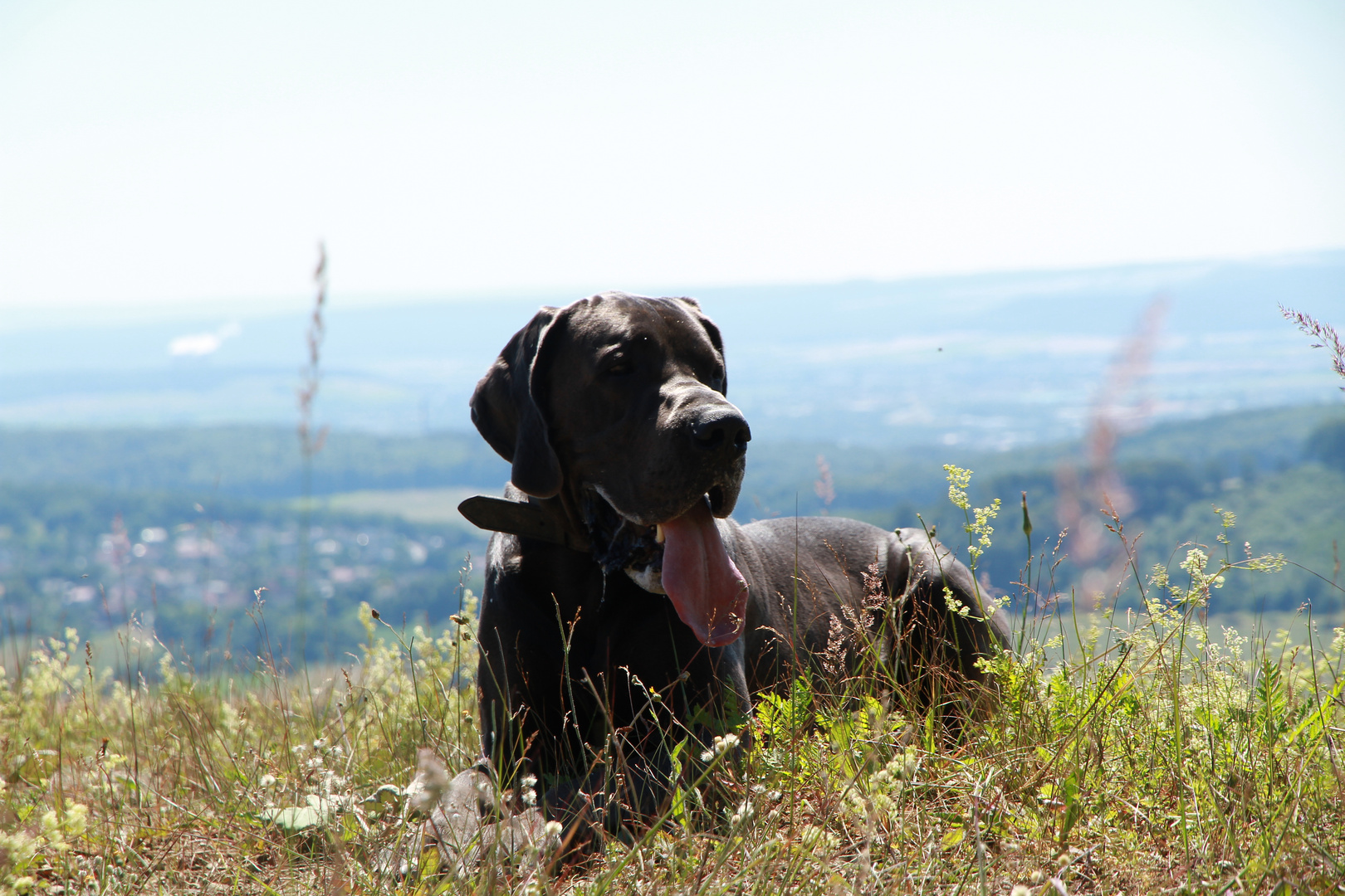 Mephisto bewacht das Weserbergland ...