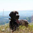 Mephisto bewacht das Weserbergland ...