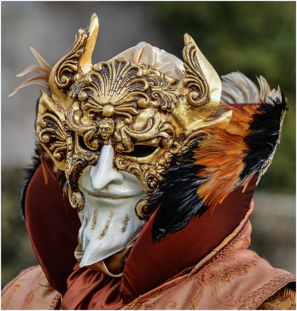 Mephistopheles Foto & Bild | karneval, street, outdoor ...