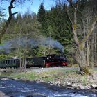 "Meppel"   99 4511 auf dem Weg nach Jöhstadt