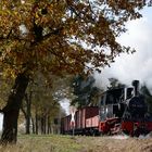 Meppel in der herbstlichen Prignitz