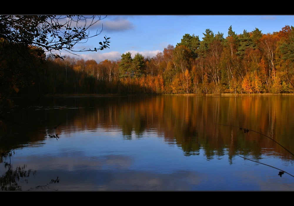 Mer à l'automne