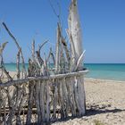 mer adriatique, Italie.