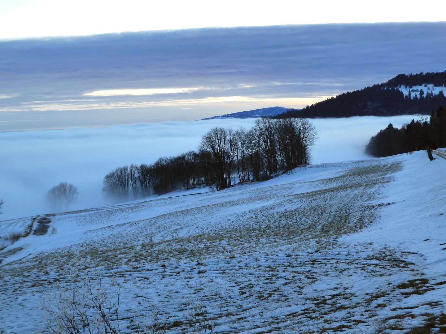 Mer de brouillard