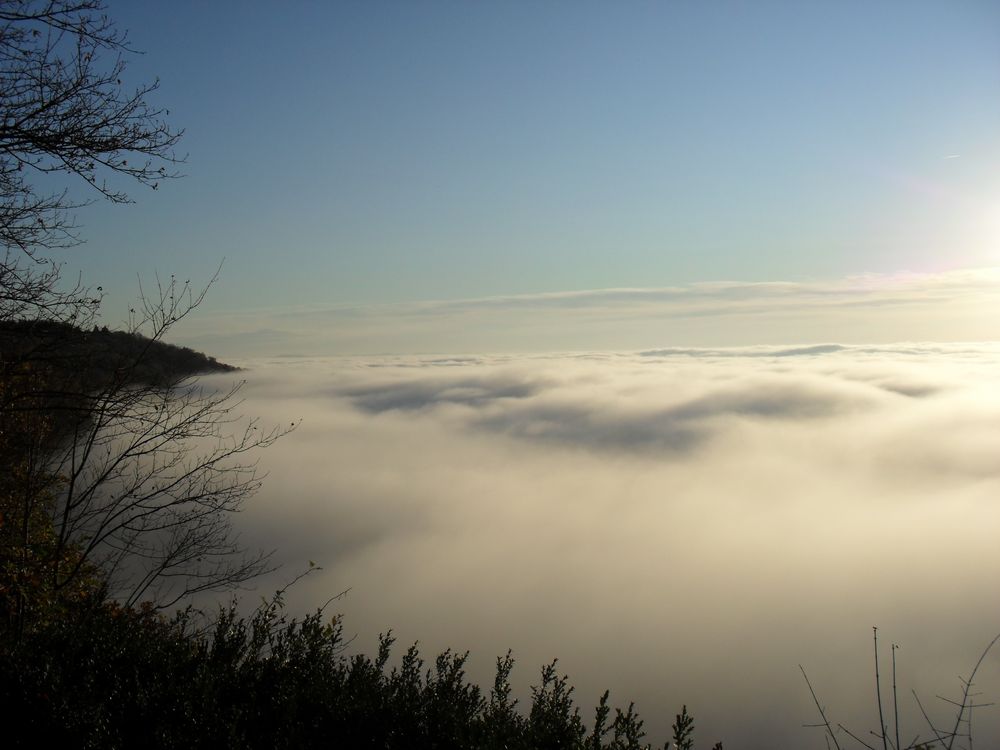 MER DE BROUILLARD