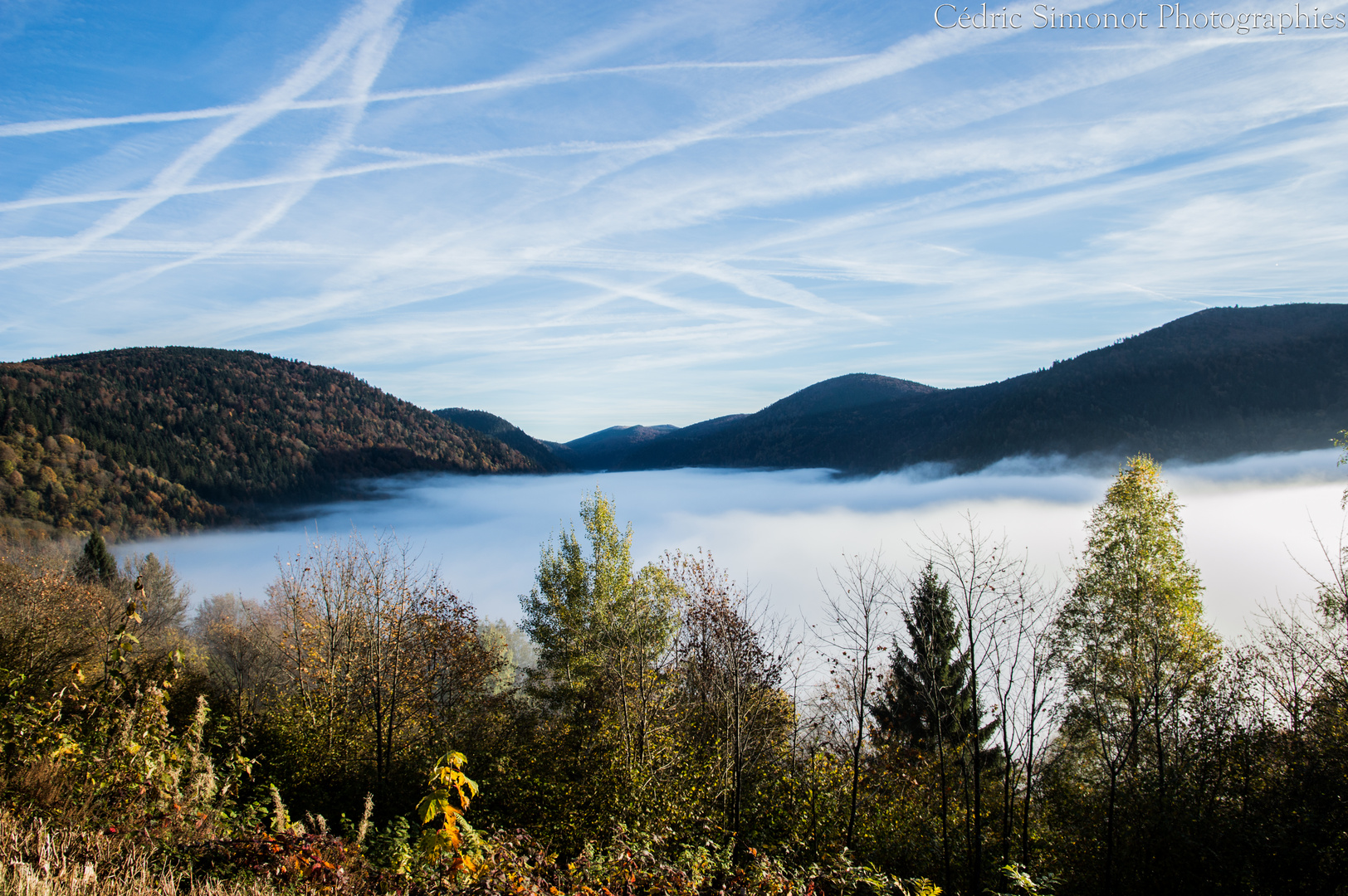 mer de brouillard 