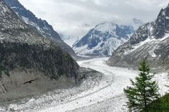 Mer de Glace (Eismeer) bei Chamonix