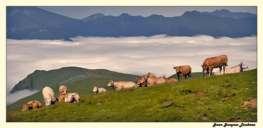 Mer de nuage col d'aubisque