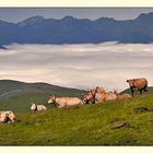 Mer de nuage col d'aubisque