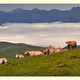 Mer de nuage col d