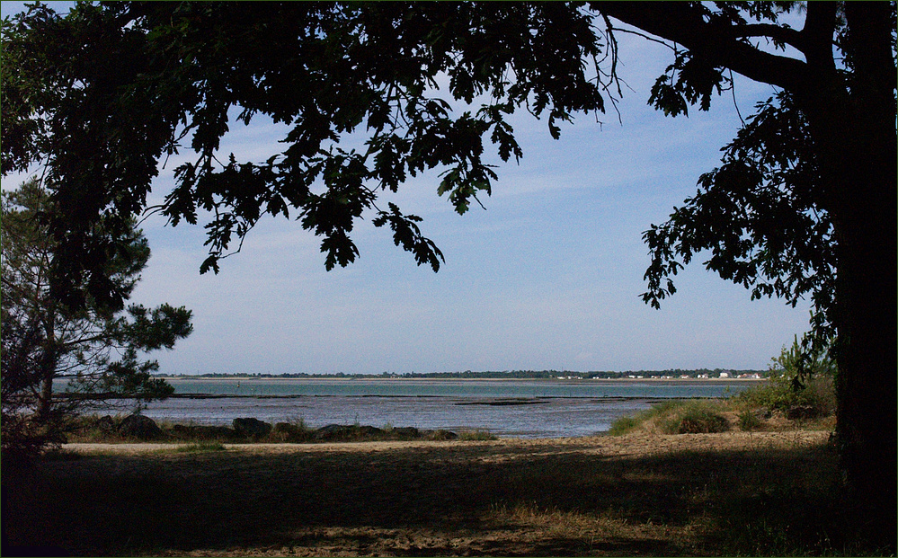 Mer et forêt - Ronce-les-Bains 2 (Charente-Maritime) – Meer und Wald