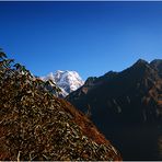 Mera Peak