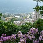 Meran