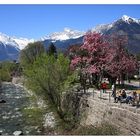 Meran im Frühling02