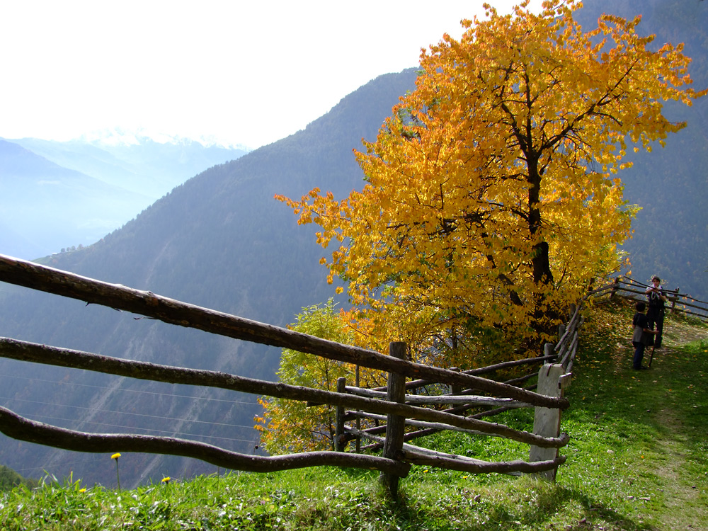 Meraner Höhenweg...