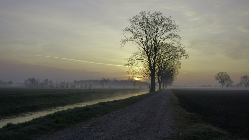 Meraviglie dell'alba