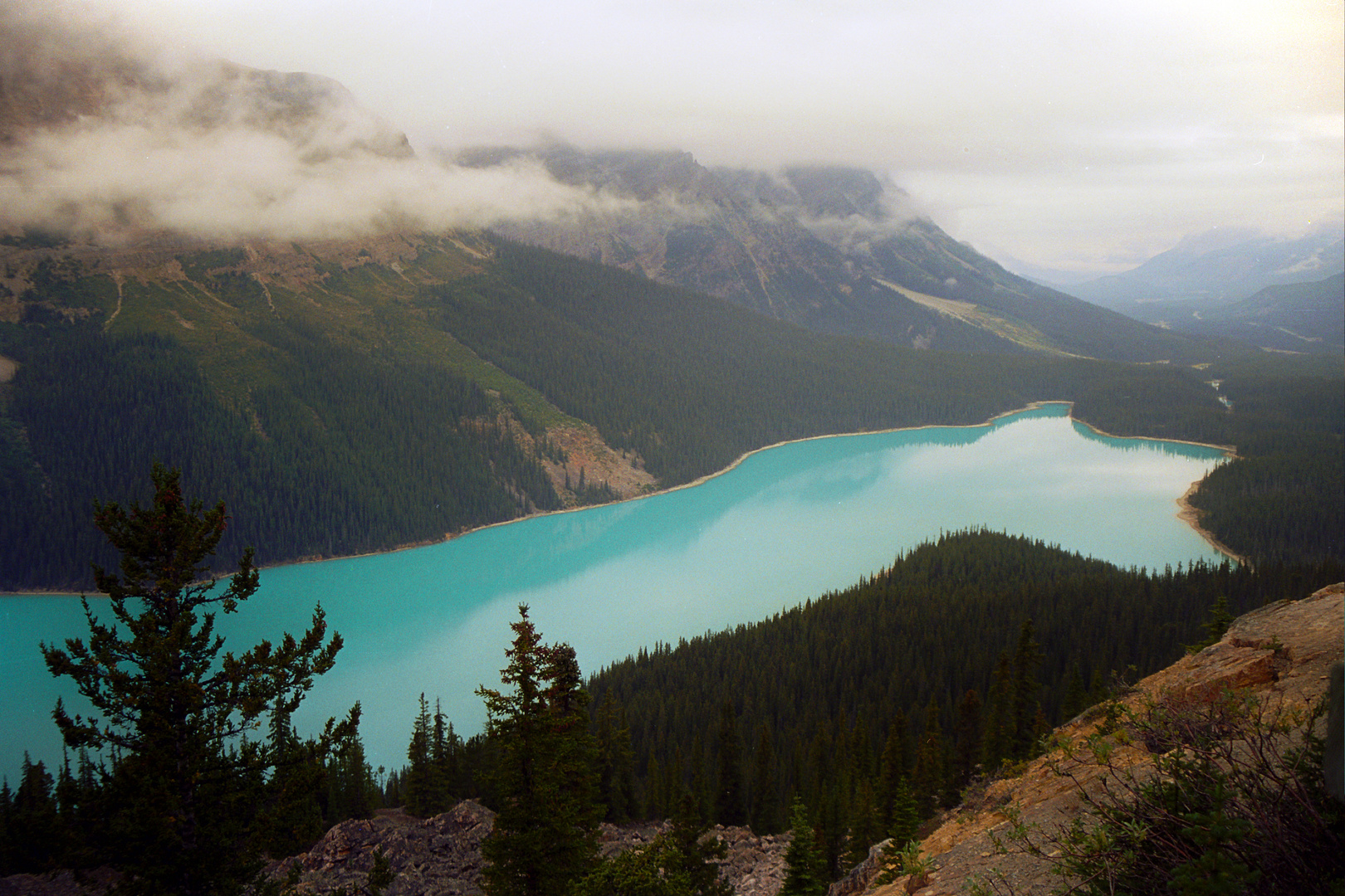 Meraviglioso Peyto lake