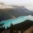 Meraviglioso Peyto lake