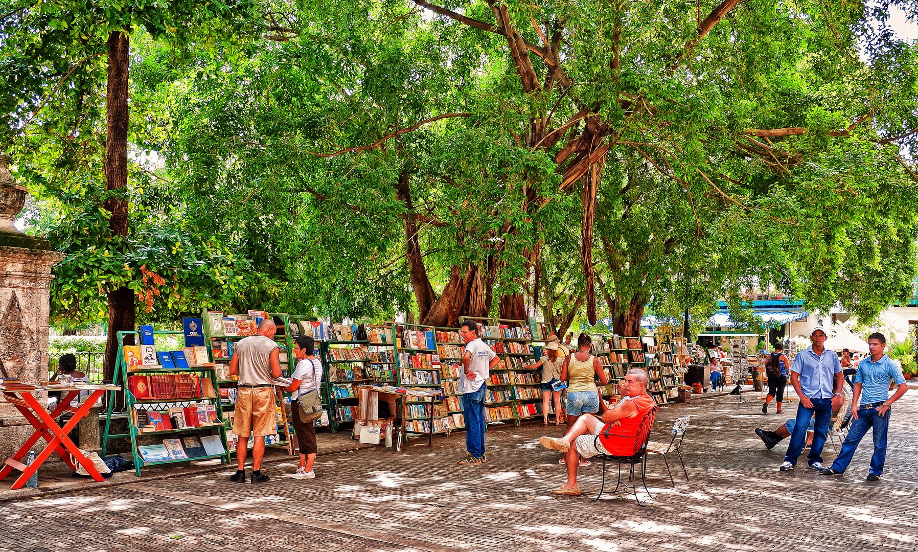 MERCADILLO DE LIBROS