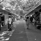  Mercadillo en El Paseo Central de La Lameda