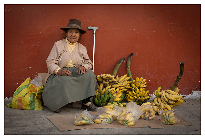 Mercadito campensino en la ciudad II