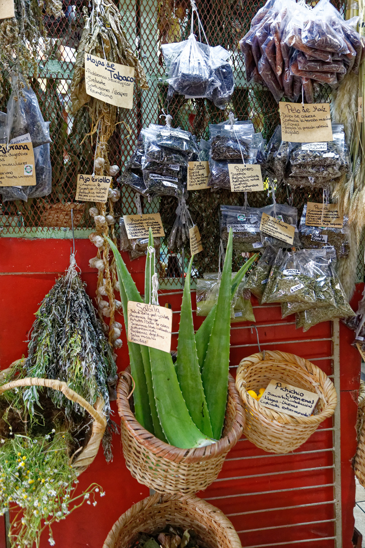 Mercado Central_1