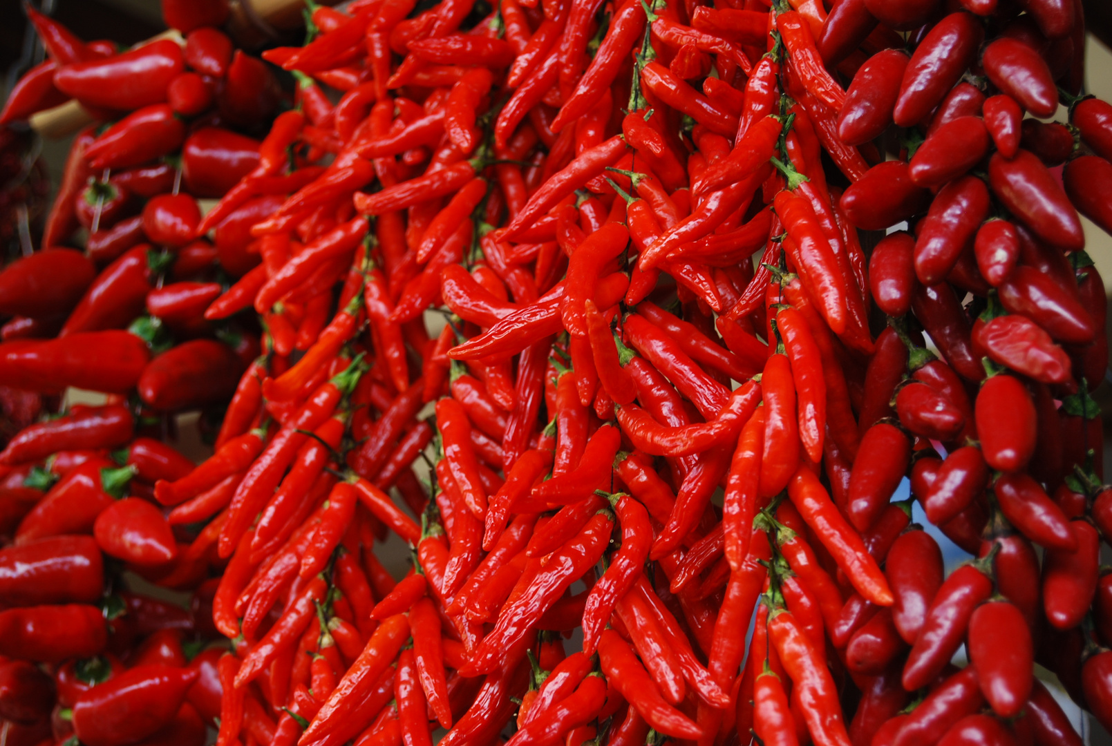 Mercado de Abastos