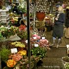 ...mercado de las Flores 3 ...