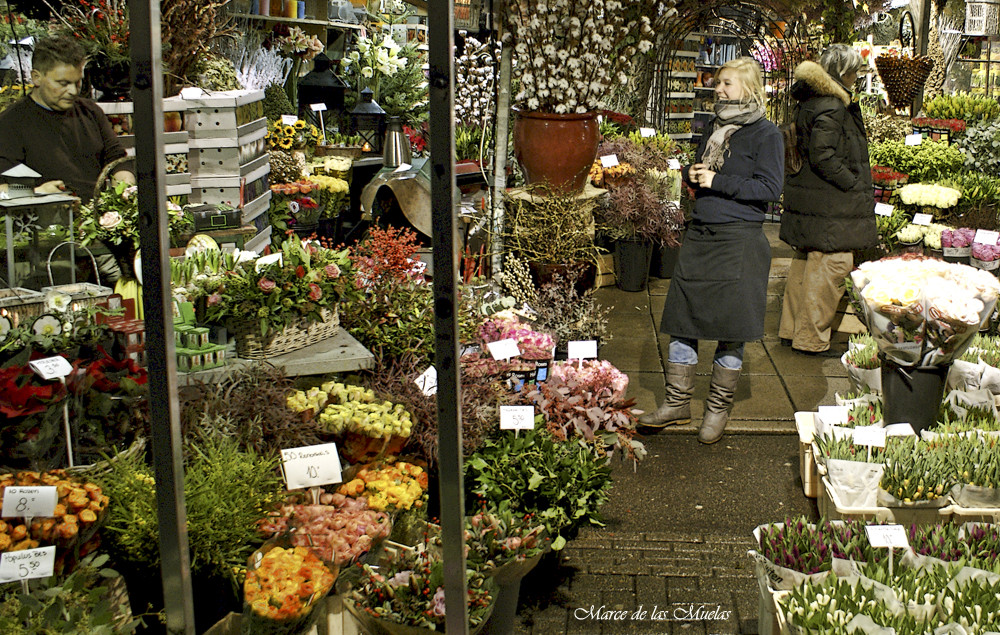 ...mercado de las Flores 3 ...