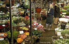 ...mercado de las Flores 3 ...