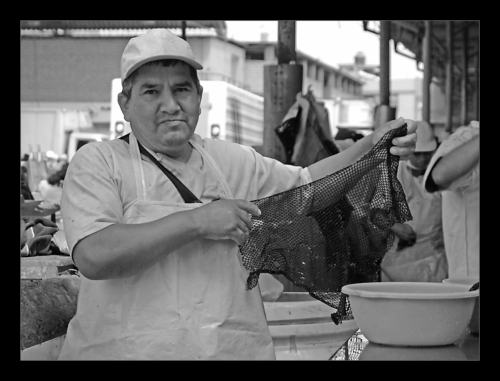 Mercado de pescado (1)