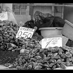 Mercado de pescado (2)