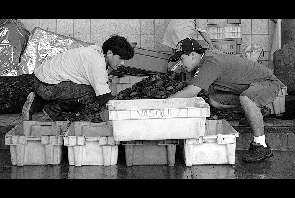 Mercado de pescado (4)