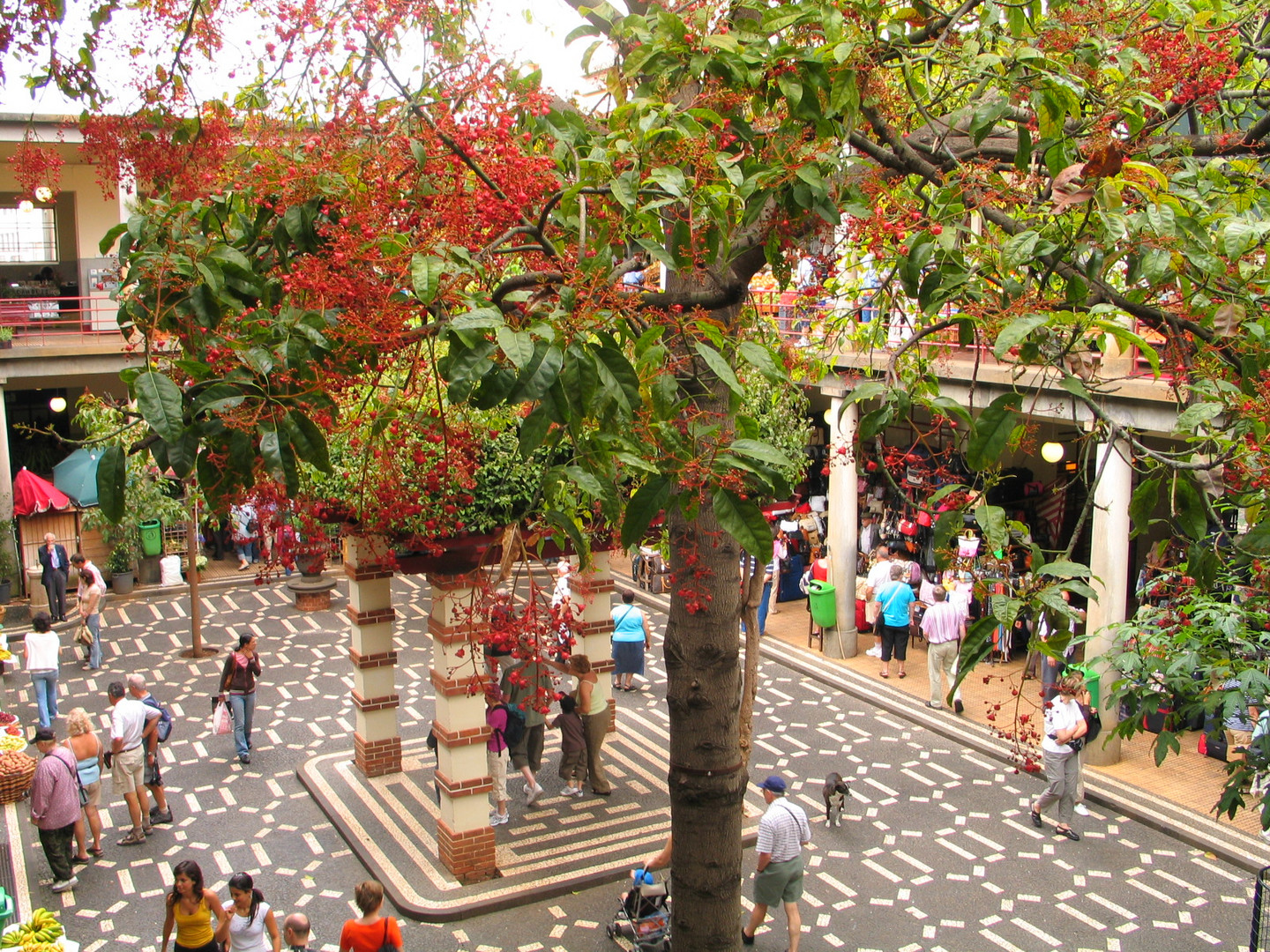 Mercado do Lavradores Funchal