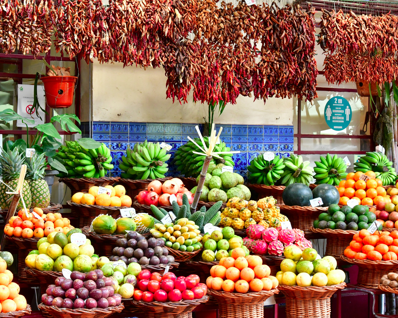 Mercado dos Lavradores 1