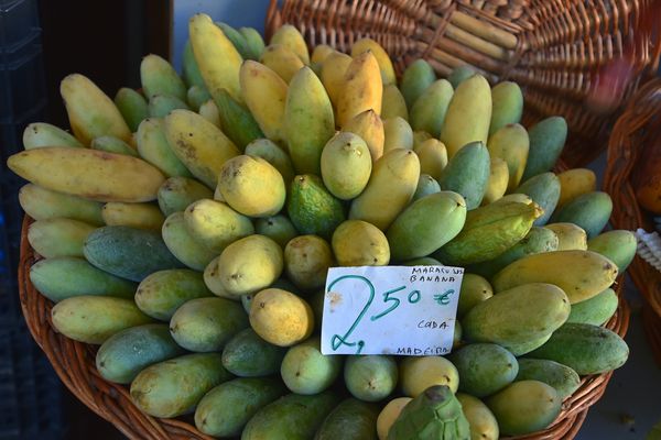Mercado dos Lavradores