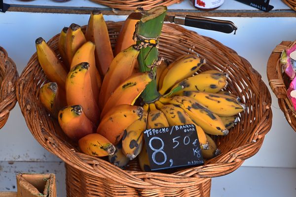 Mercado dos Lavradores