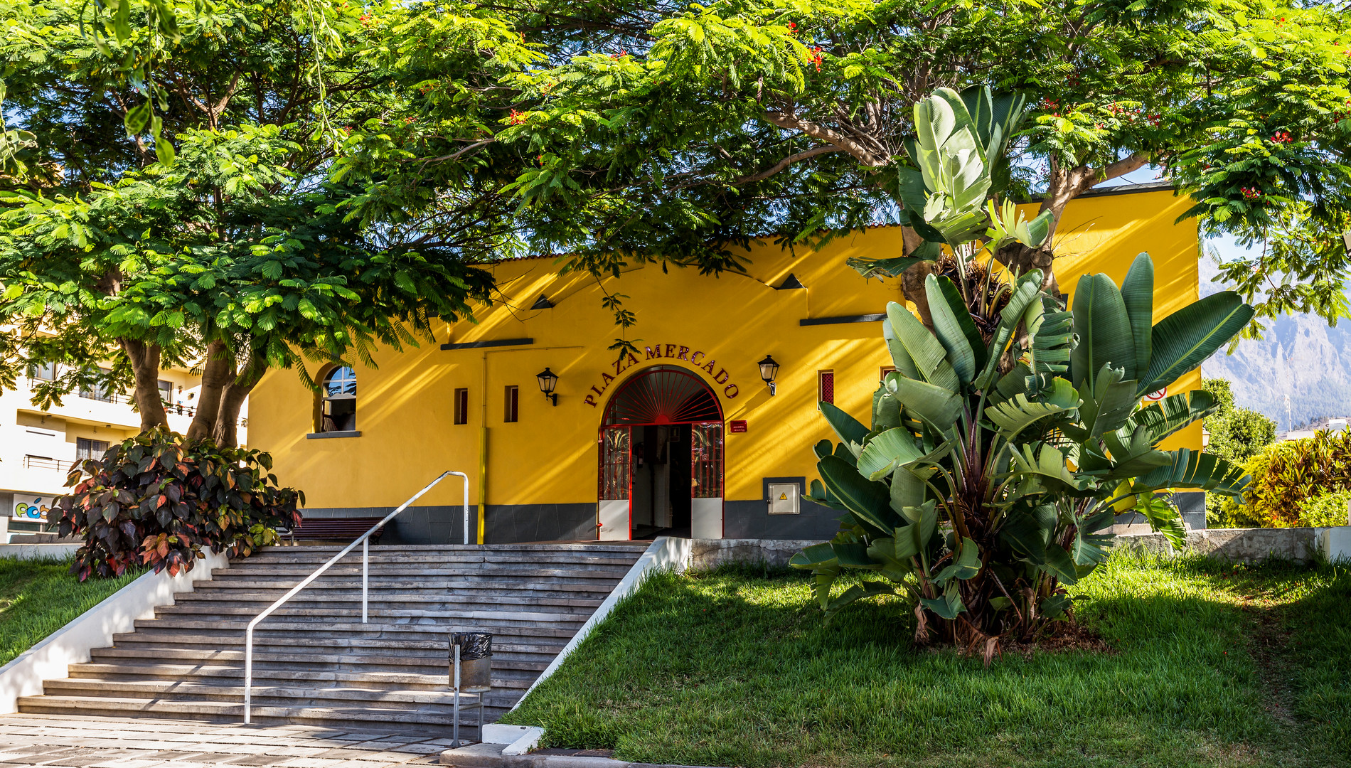 Mercado Los Llanos de Aridane