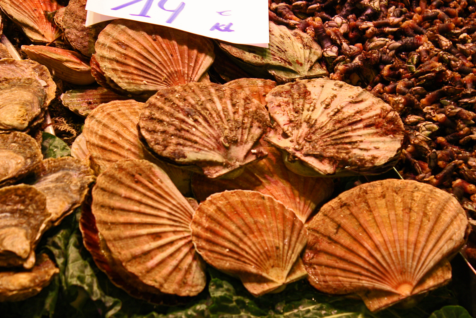 Mercat de la Boqueria Barcelona