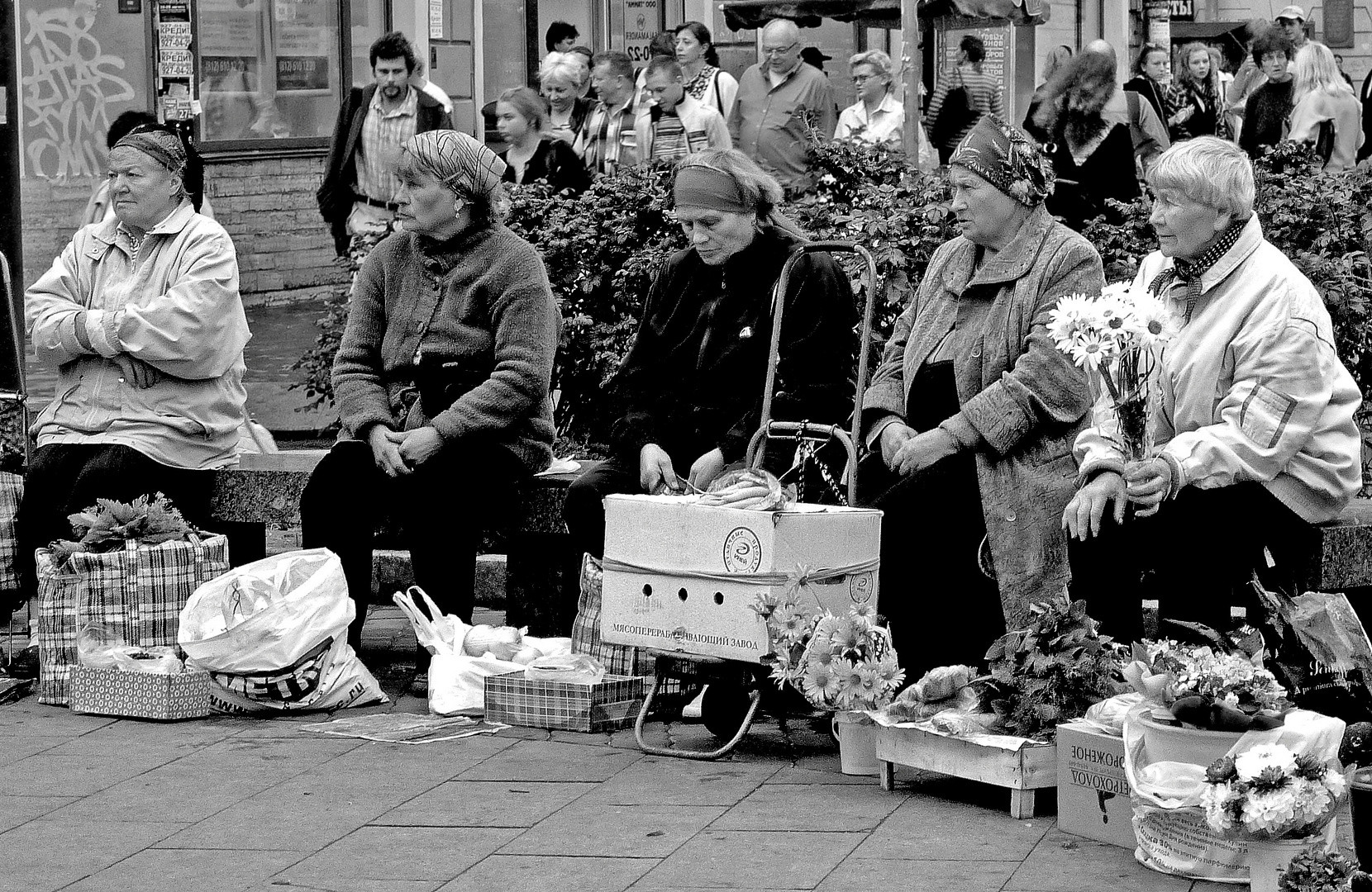 Mercato all'aperto in piazza Vladimirskaya, San Pietroburgo