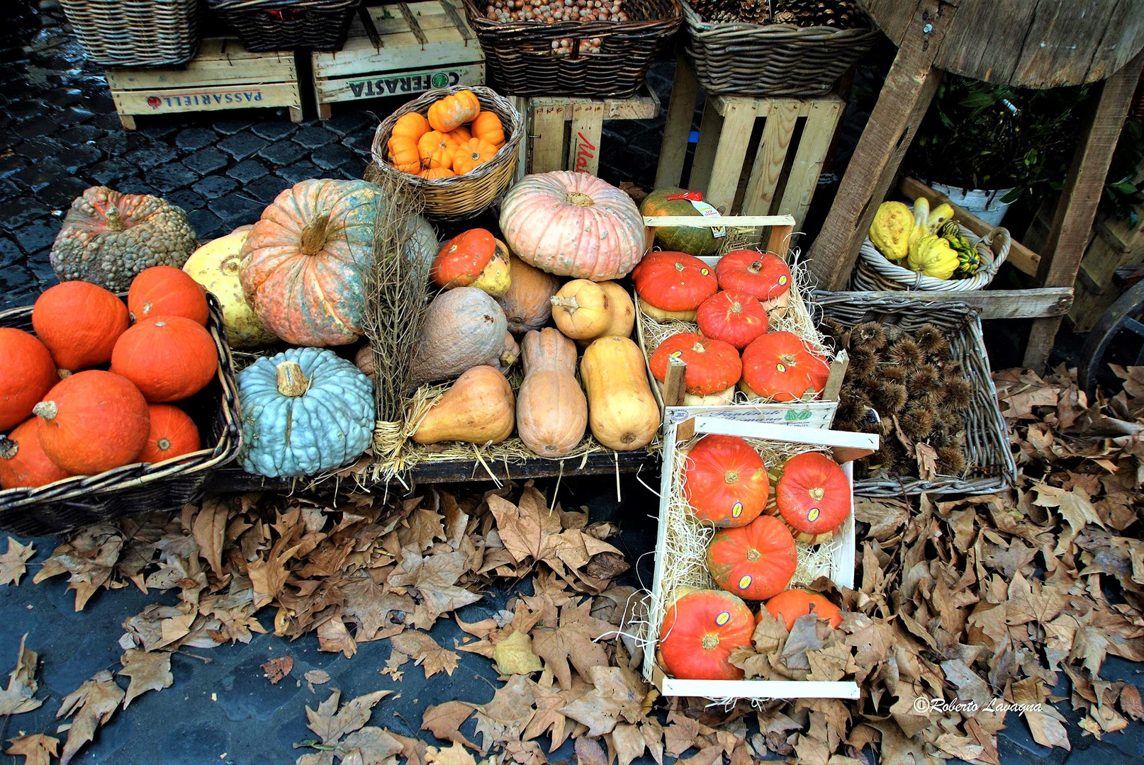 Mercato Campo de Fiori