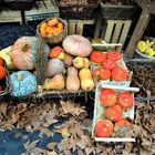 Mercato Campo de Fiori